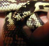 Daytona 07-26-08 a.jpg