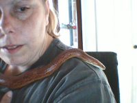 Picture 23.jpg