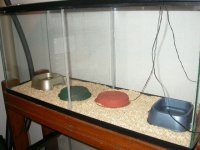 DSCN3106.JPG