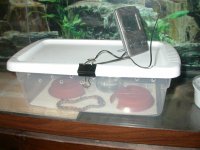 DSCN3108.JPG
