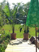 Trellis 001.jpg