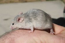 IMG_4832.jpg