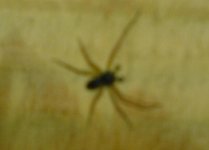 DSC00713.JPG