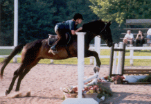 jump.gif