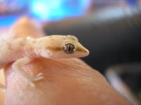 zoo members 106.jpg