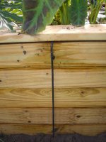 Patio Planting 001.jpg