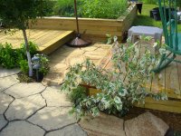 Patio Planting 003.jpg