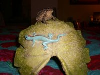 Toad House 005_800.jpg