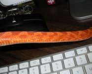 AFire_diffusion_400x321.jpg