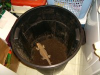 New Nest 001.jpg