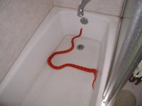 Sangriatub1.jpg