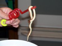 100_0137.jpg