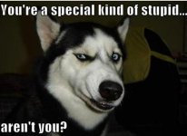 Special Kind (Small).JPG