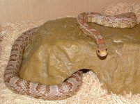 Forum Beauty 005.jpg