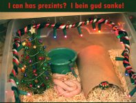 Dec06 can has prezints lol.jpg