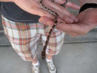 IMG_0166.JPG IMG_0166.JPG