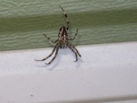 DSC04348.JPG