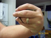 July Ringneck.jpg