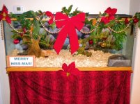 Christmas viv 1.jpg