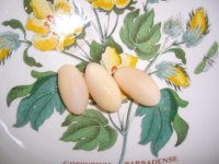 Isabel Eggs 001.jpg