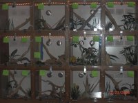 PO20081224_0066.JPG