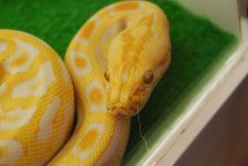 043 - re-sized.JPG