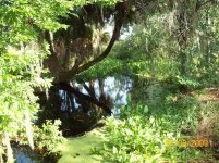 EC Creek 2.jpg