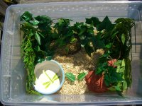 Jasmine's Bin 002_800.jpg