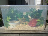 Jasmine's Bin 001_800.jpg
