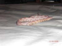 PICT0066.JPG