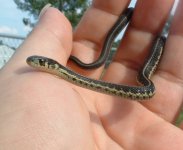 Baby4 06-19-08 b.jpg