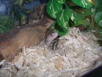 Lila's Tunnel 001_800.jpg