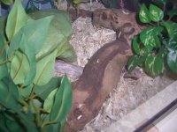 Lila's Tunnel 004_800.jpg