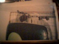 picture 21.jpg
