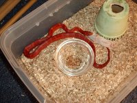 feedingmarch20-02.jpg