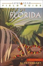 Florida.jpg