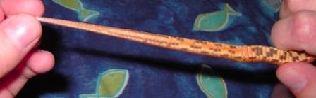 Luther Tail.JPG