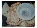 thumbnail2.jpg