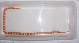 JD071206-1.jpg