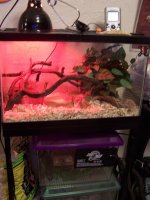 Kiowa's House.jpg