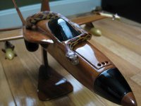 snake on a plane.JPG