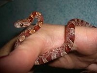 Jasmine Arrives 007_800.jpg