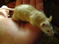 DSC01233.JPG