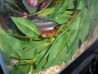 Jasmine Moist Hide 002_8002.jpg