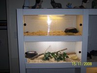 habitat1.JPG