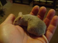 DSC01266.JPG