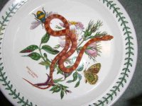 Jasper 12G 002_800.jpg