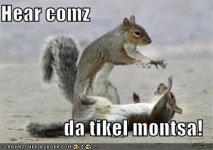 funny-pictures-squirrel-tickling.jpg