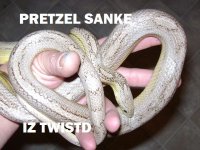 pretzel sanke.jpg