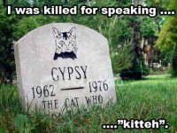 DeathToLolcats1.jpg